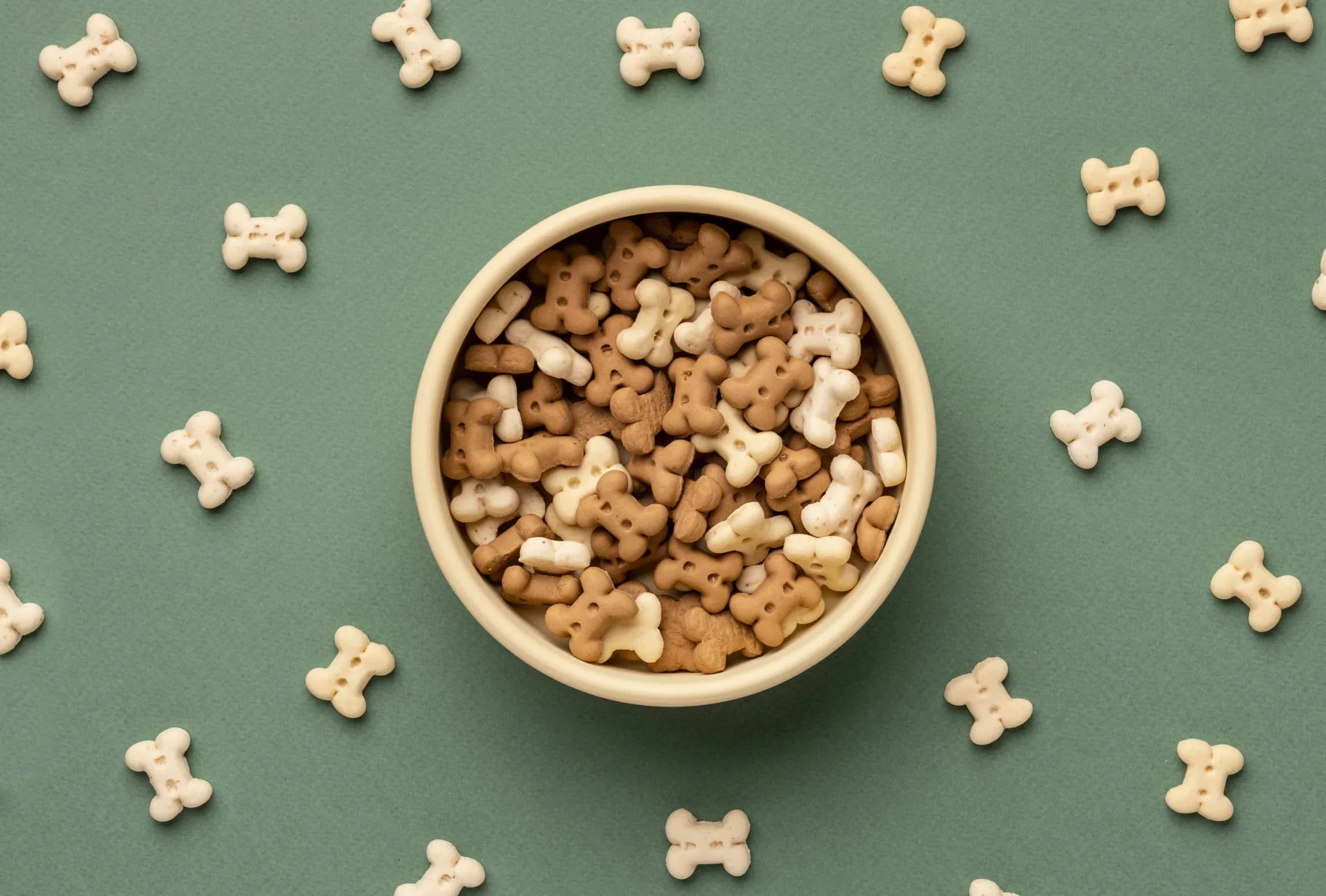 Upgrade Your Dog’s Diet