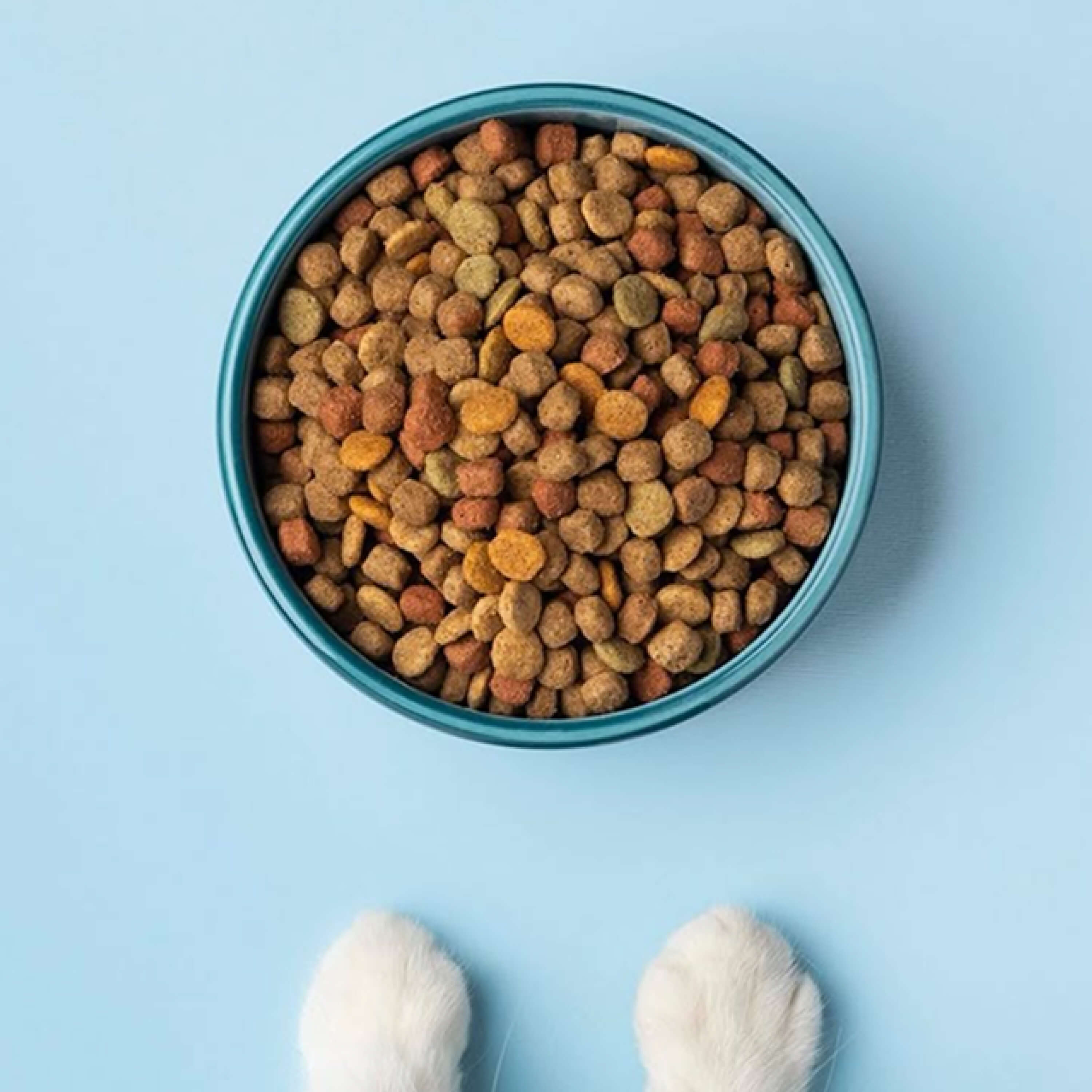 Duck Soft Chews
