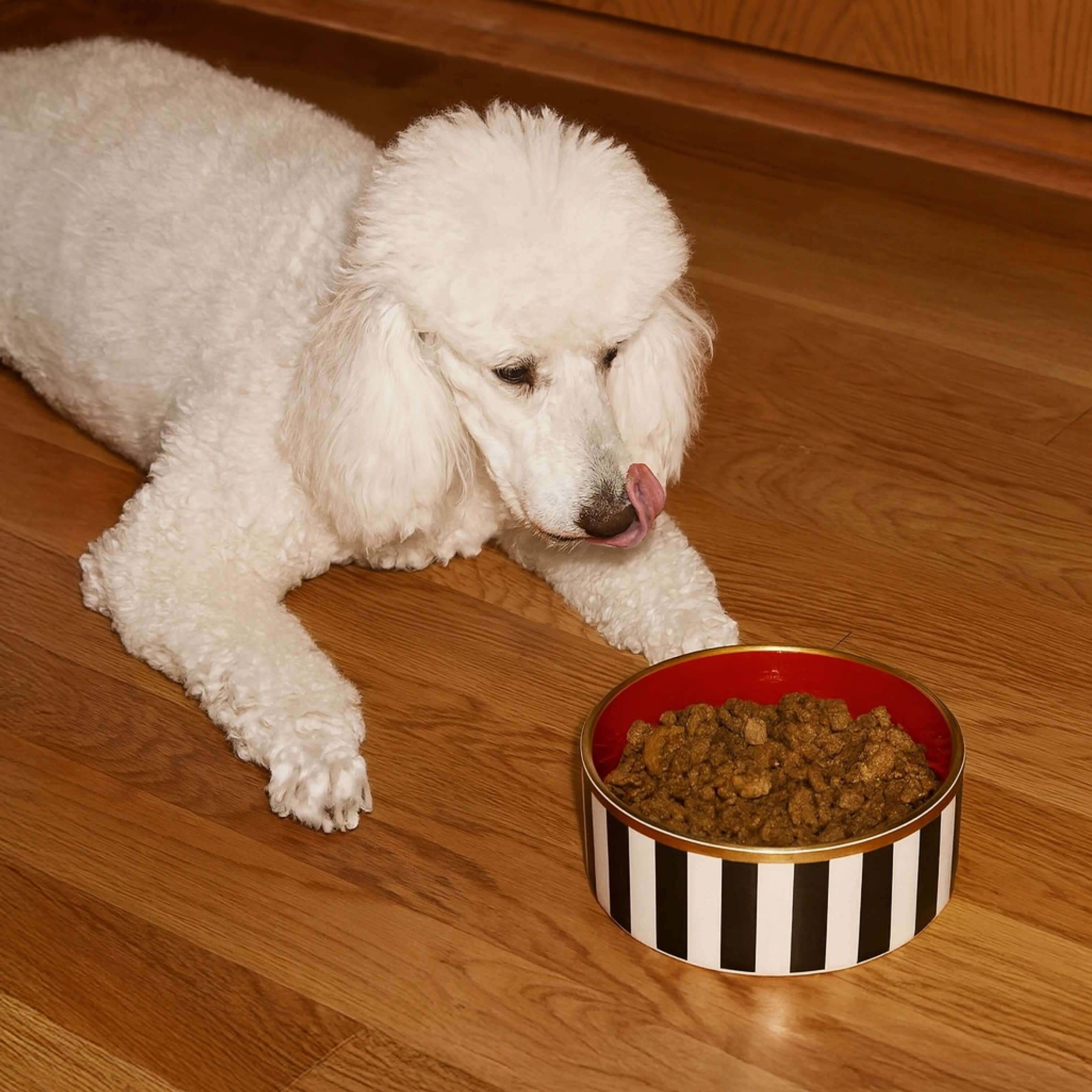 Pet Meal Mix
