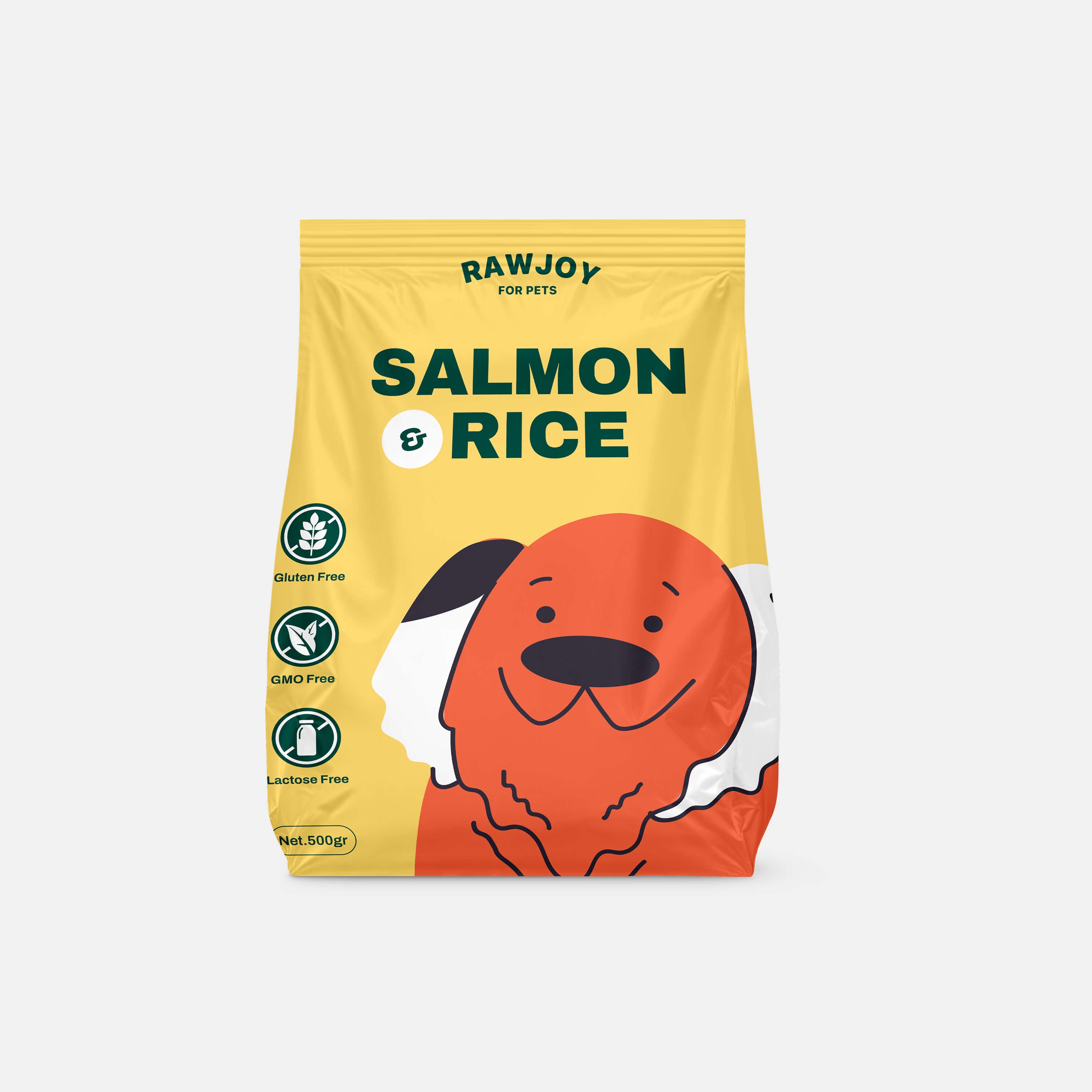 Salmon Rice