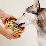 Bone Broth