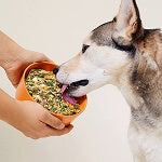 Colostrum
